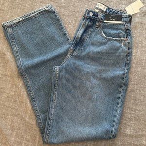 Abercrombie & Fitch Curve Love High Rise Loose Denim, Size 24 Long